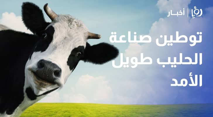 رئيس ائتلاف مربي الأبقار: توطين صناعة الحليب طويل الأمد يدعم المحلي ويستوعب فائض الإنتاج